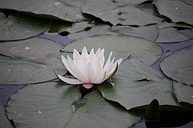 《双影奇境》PS版下载大小79GB 3月4日评分解禁